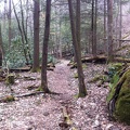 Martins Fork - 4